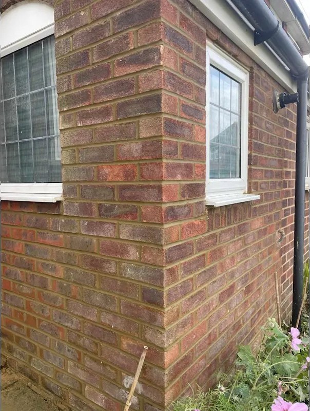 Rear wall repoint in Brighton, Sussex